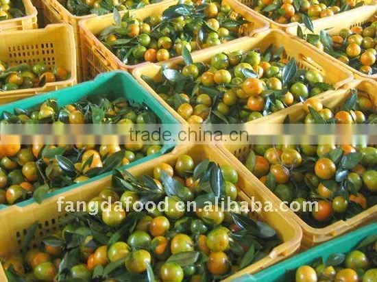 Chinese baby mandarin orange