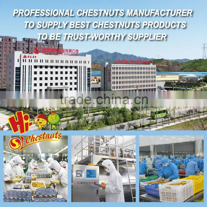 hot sale hebei new crop fresh chestnut nuts