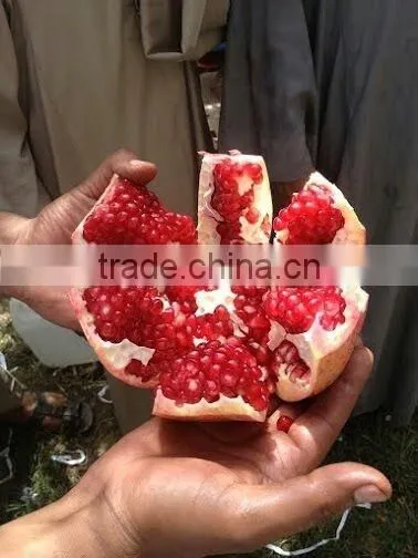 POMEGRANATE CROP NEW FRESH HIGH QUALITY