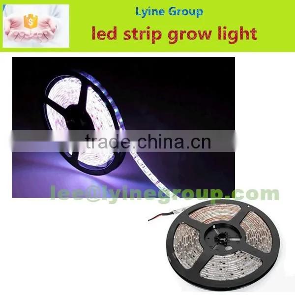 50m/Roll Waterproof flexible SMD5050 rgb Led Strip led lights manufacturing