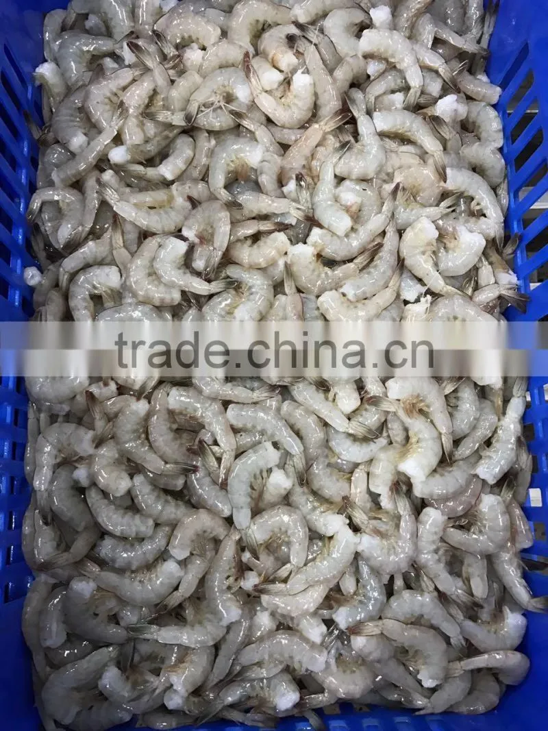 Hot sale seafoods headless vannamei shrimp in good price