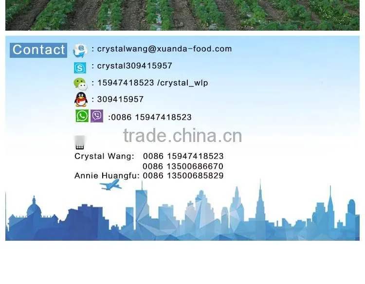 wholesale edible white pumpkin seed price