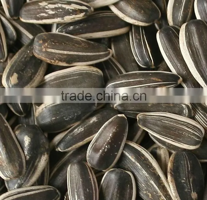 sunflower seed color sorter machine/seeds color sorter/seed sorting machine