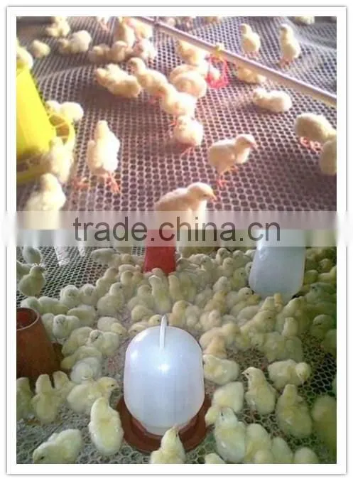 green plastic coating wire mesh / plastic wire mesh factory price