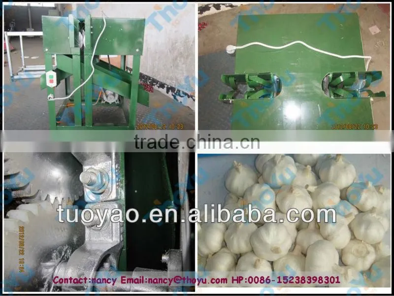 Fresh Garlic Tail Cutting machine/ Garlic Root Cutting Machine in alibaba SMS:0086-15238398301