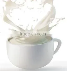 Creative nutrition breakfast stainless steel egg boiler