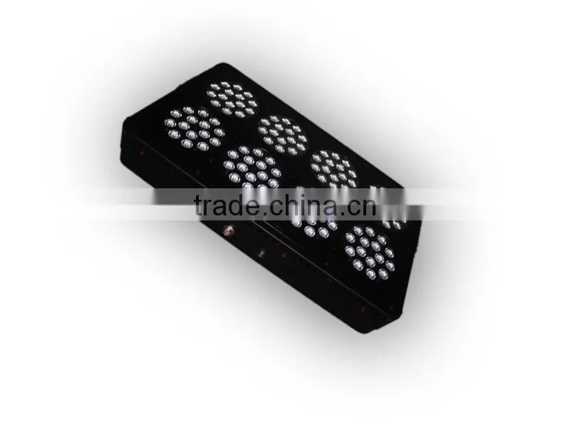 apollo 8 led grow light