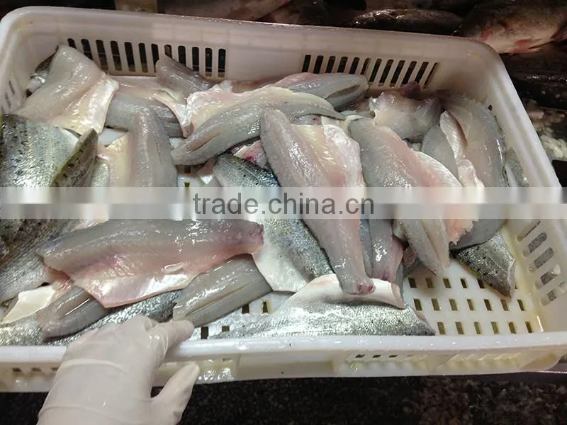 Frozen seabass fillets 5-7oz,7-9oz lateolabrax japinicus for Middle East Market