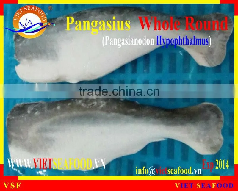 FROZEN W/R PANGASIUS