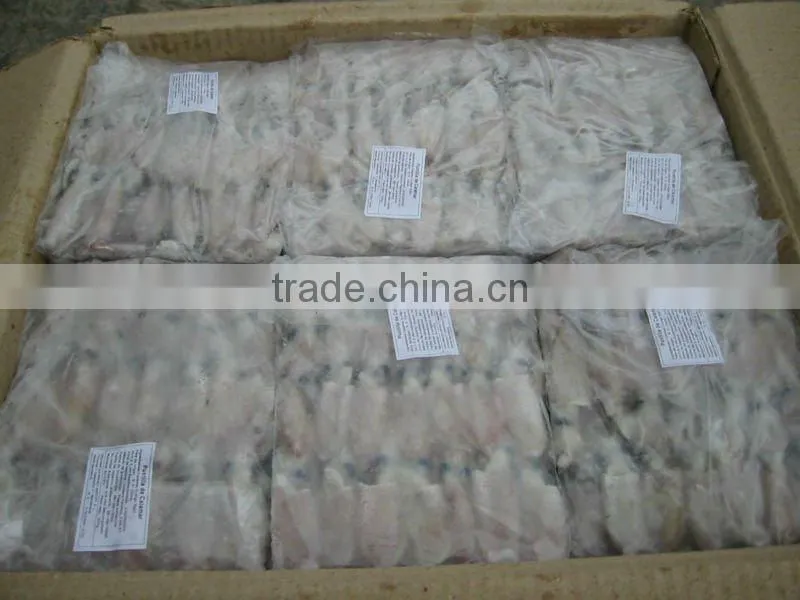frozen whole baby squid