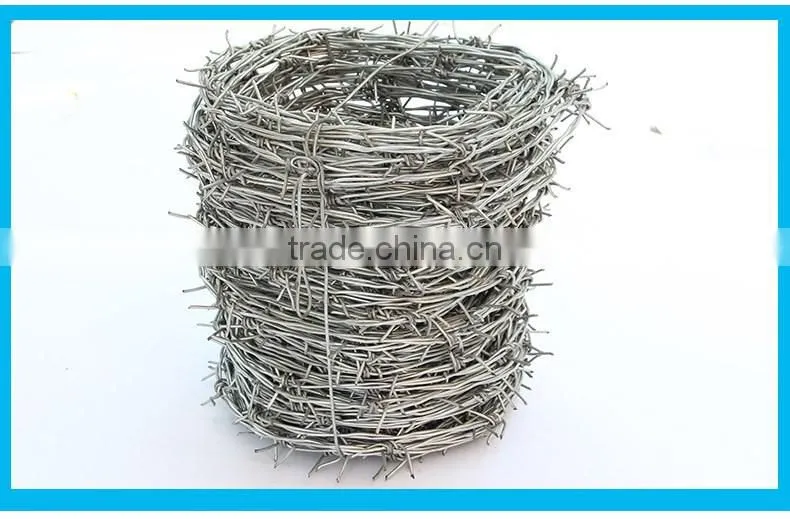 cheap price electro/hot dipped galvanized barbed wire