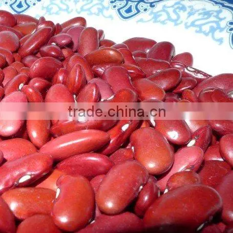organic beans