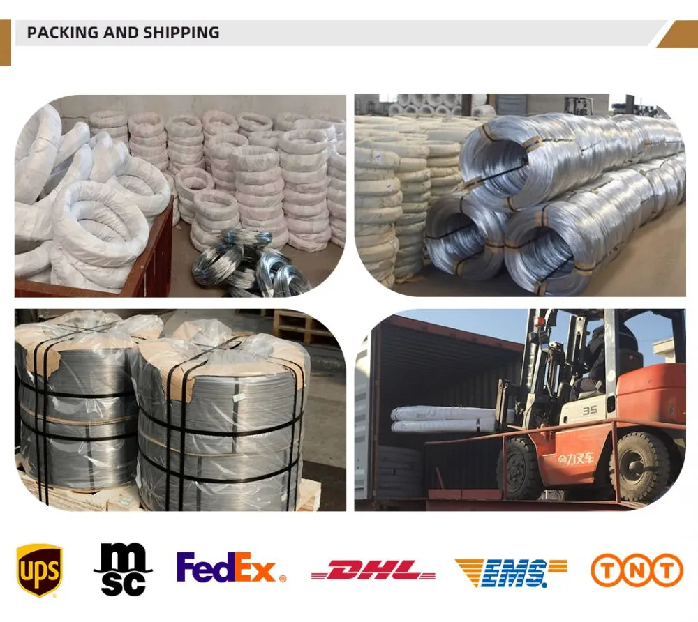 Galvanized Wire (8)