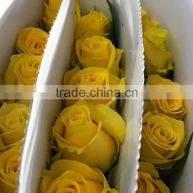Top quality most popular gold plated gift rose