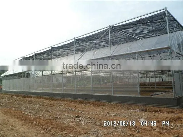 natural ventilation system multi span greenhouse