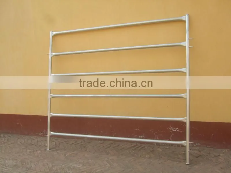 galvanised 40x40 SHS RAIL cattle panel