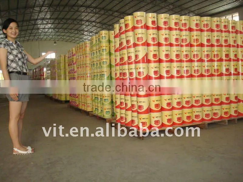 heat insuation paint