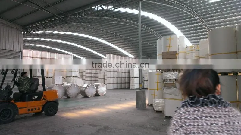 PE coated paper/single PE coated paper/double PE coated paper