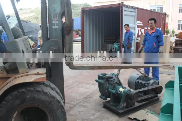 China Famous Factory Plant Slurry Pump