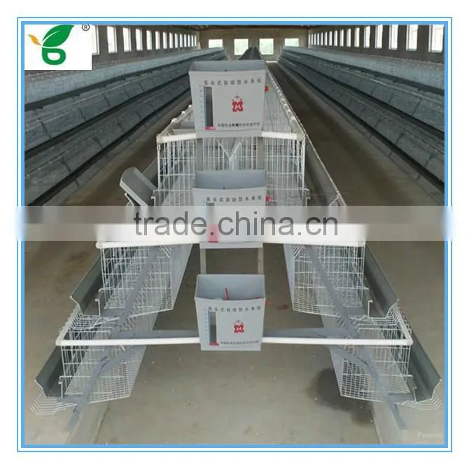 galvanized a type battery chicken hen coops for sale