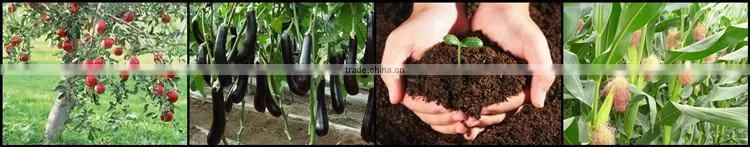 Huminrich 70%HA 25%FA 12%K2O Super Potassium Humate With Fulvic Acid