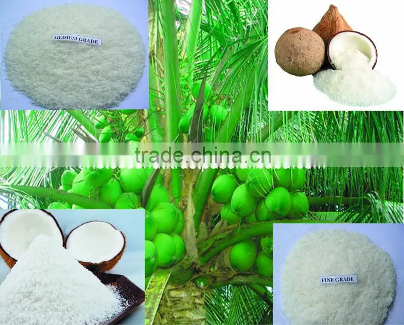 DESICCATED COCONUT EXPORTER