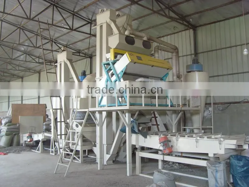 Sunflower seeds 5009-High quality