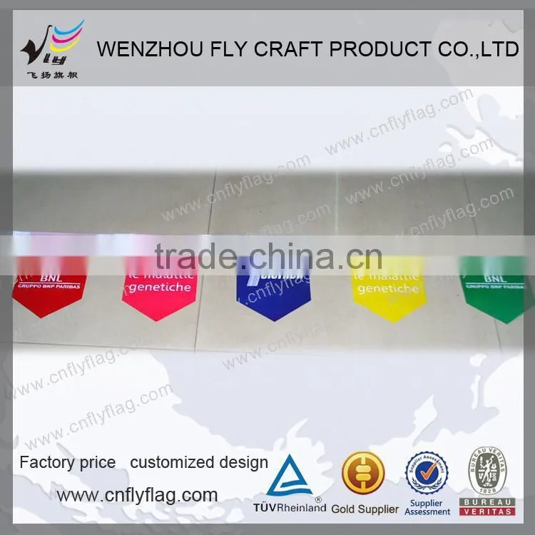Custom High Quality Decorative Colour Party Flag