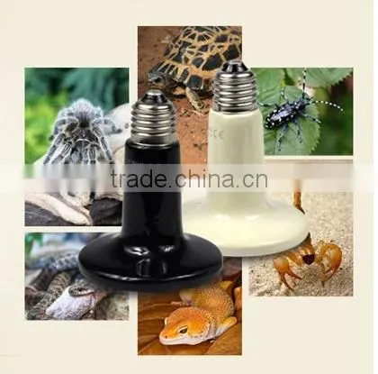 Electric heating bowel for pets keep the food warm