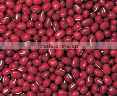 dark red Adzuki bean