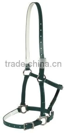 Fancy Horse Bridles Alloy Buckle Top Selling Horse Product
