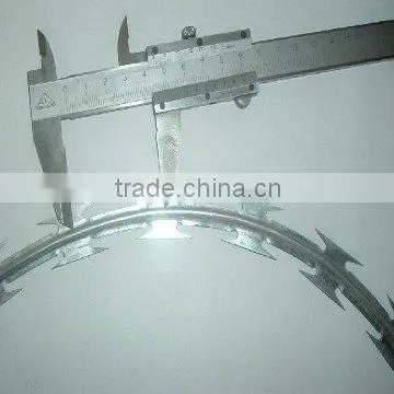 Razor Wire Fence