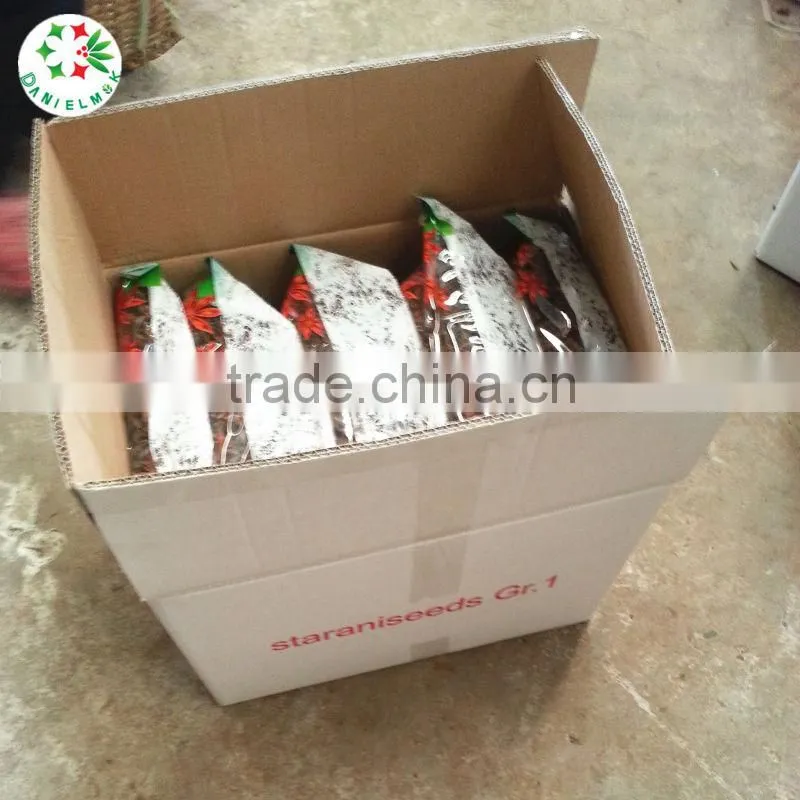 Hot Selling Dry Whole Star Aniseed for Cooking Spice
