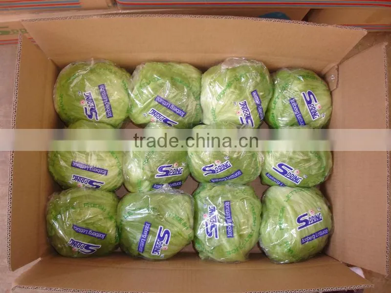 2016 Chinese decorative round shape green iceberg lettuce