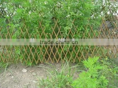 willow garden trellis