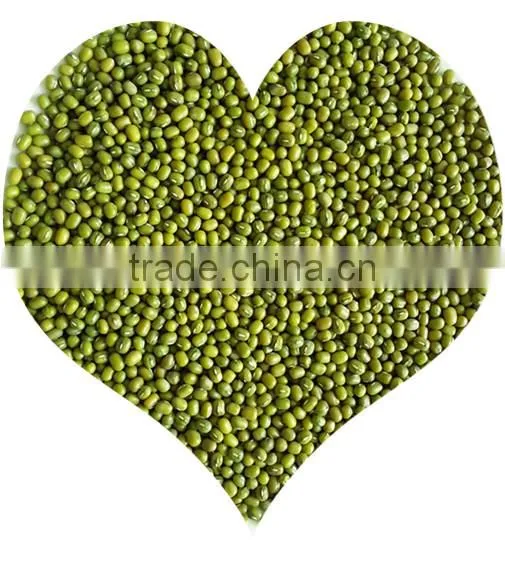 JSX free sample yellow mung bean price current year high quality mung bean sprout production