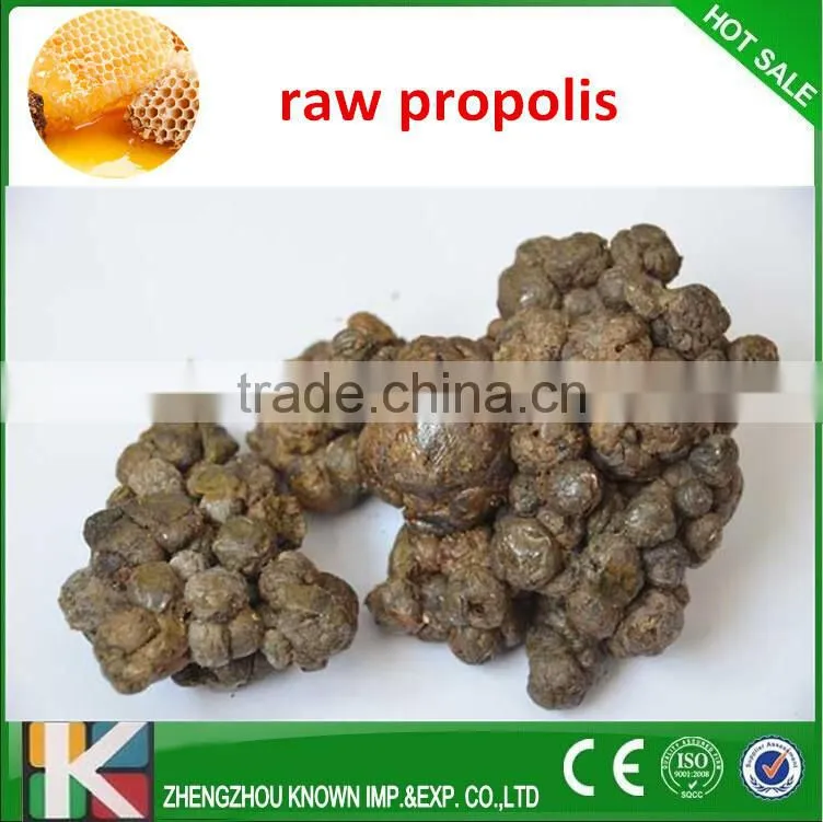 Top quality Raw Propolis Powder/Bee propolis on sale