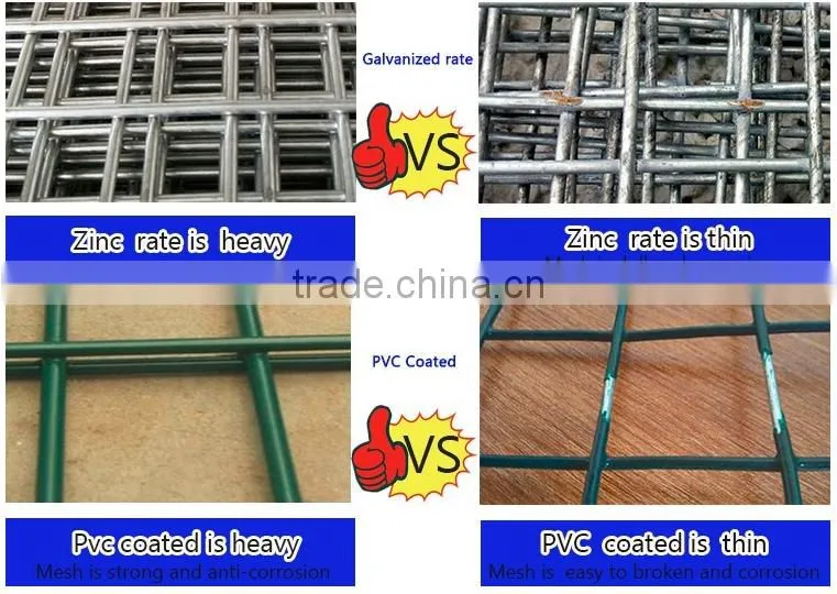 6x6 concrete reinforcing welded wire mesh/welded wire mesh/galvanized welded wire mesh panel