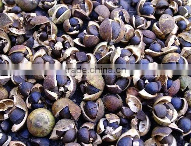 china farm machinery manufacturer of small scale peanut huller machine