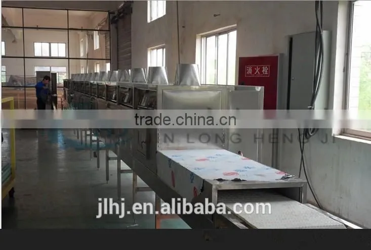 Industrial Food and Fruit and Vegetable Dryer Machine