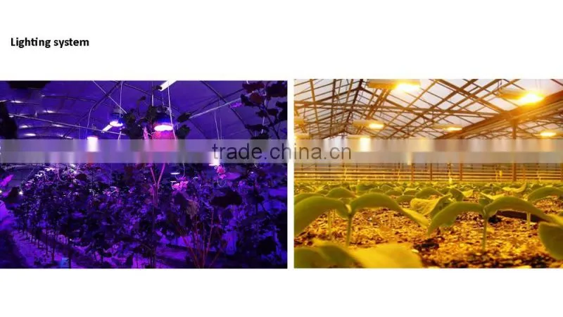 plastic film tunnel greenhouse