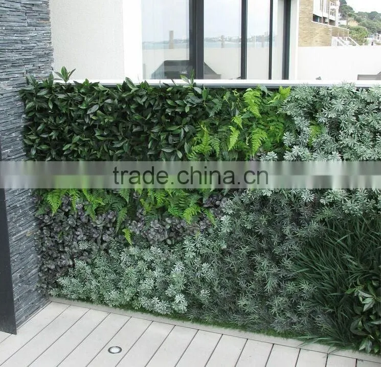 vertical garden green plants wall,green wall backdrop