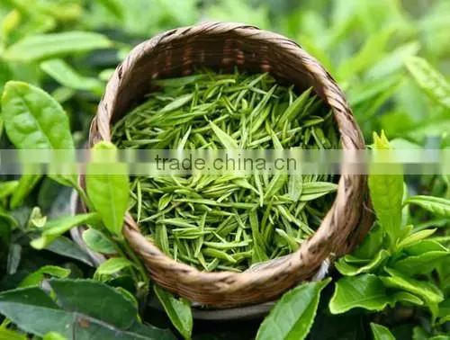 organic green tea