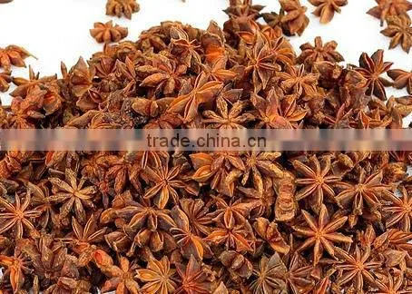 autumn star anise
