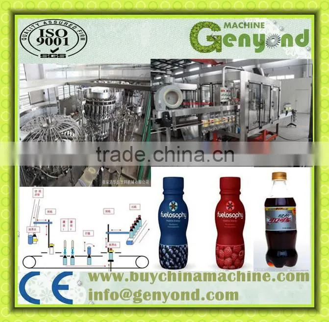 Complete Fruit Juice Production Line with factory price