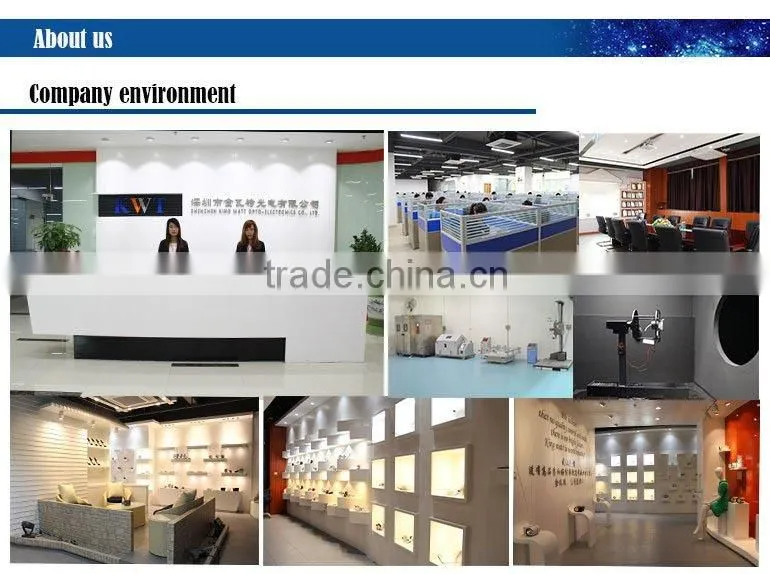 18w gimbal cob led downlight export products list