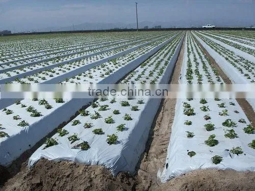 Suntex customized size and color blow molding mulch film/strawberry mulch film