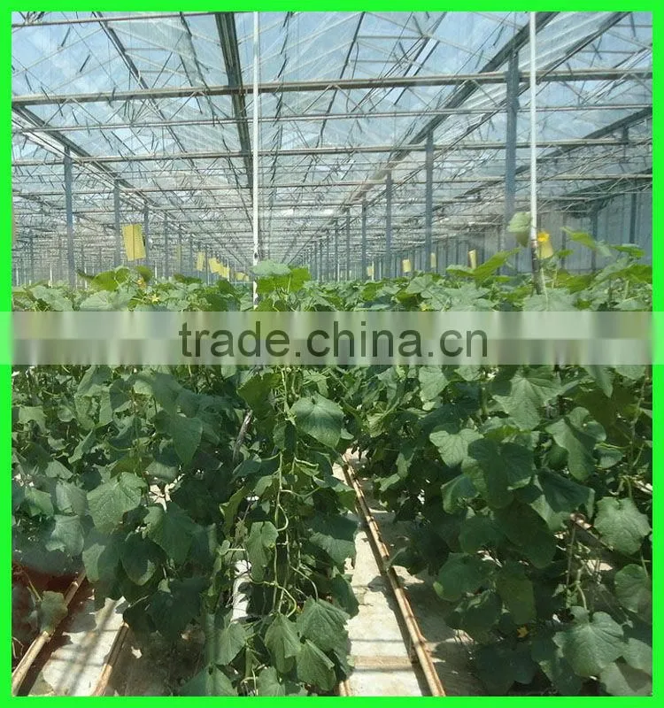 Suntex virgin PE anti-acid&alkail cherry trees protective impermeability cloth