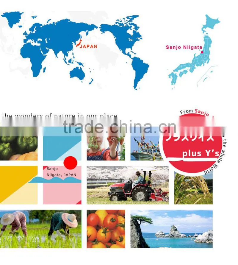 Best selling industrial Nut drying machine Made in Japan