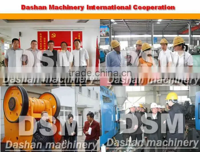 China DSM Dressing The Ball Mushroom Machine
